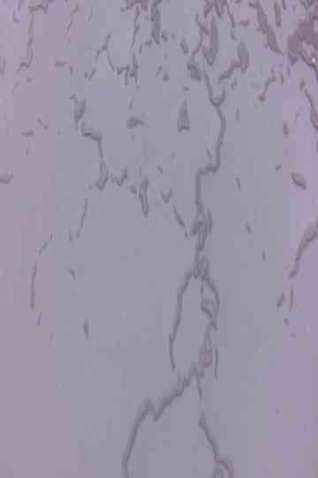 Captive Horizon Poster