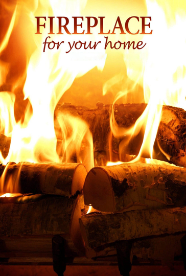 Fireplace 4K Crackling Birchwood from Fireplace for Your Home