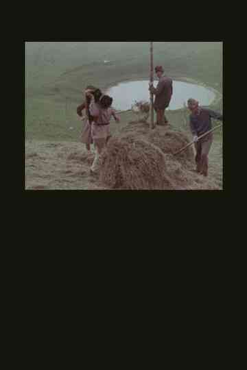 La montagna del sole Poster