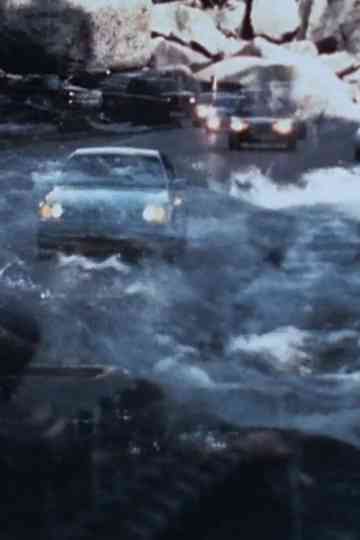 Boulder-Brooklyn Poster