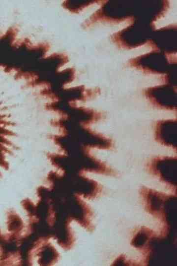 The Glowing Woman Poster