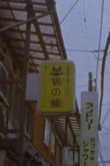 Scenes from a Visit to Japan Poster