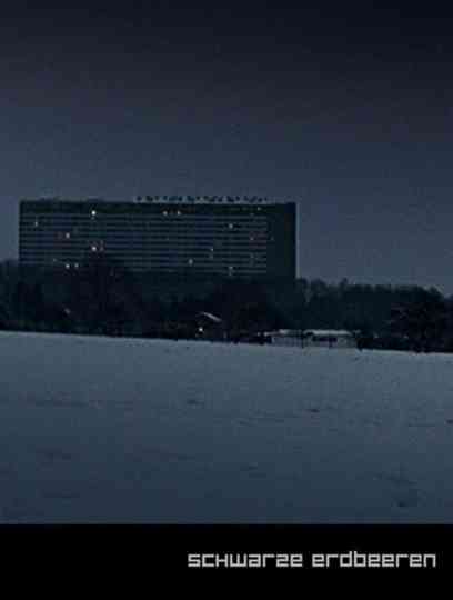 Schwarze Erdbeeren Poster