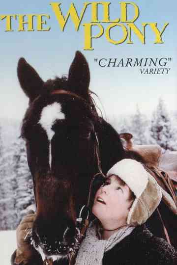 The Wild Pony Poster