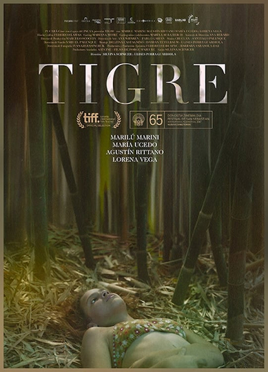 Tigre Poster