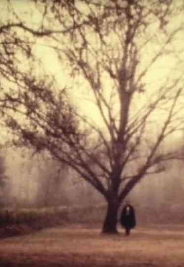 D. Jaime or the Portuguese Night Poster