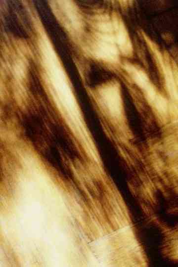 By Pain and Rhyme and Arabesques of Foraging Poster