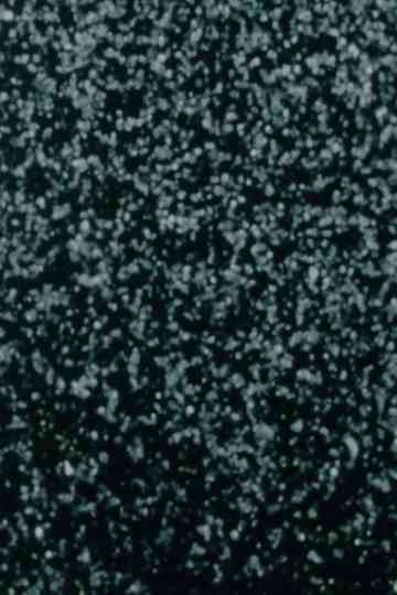 Field Study #2 poster