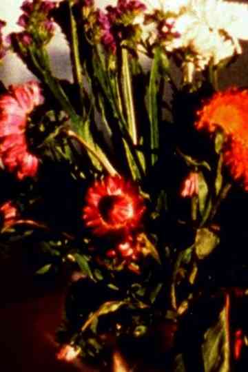 Time Being I – IV Poster