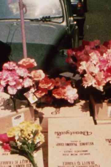 The Journey to Mexico Poster