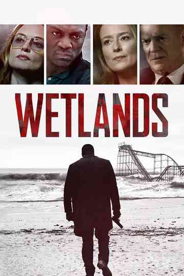 Wetlands Poster