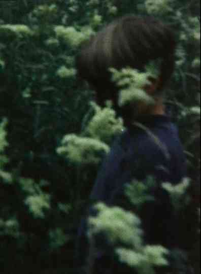 Das fliegende Bild Poster