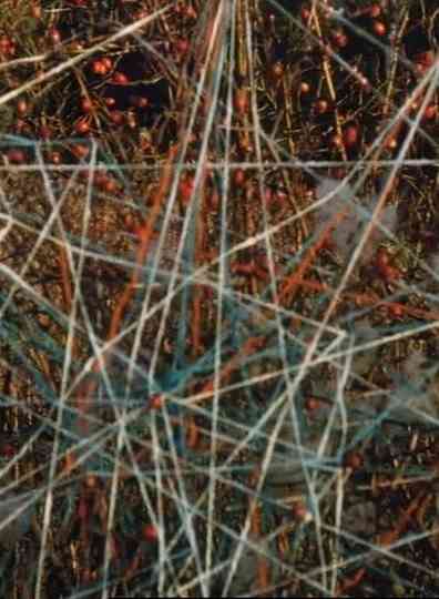 Toying with Strings Poster