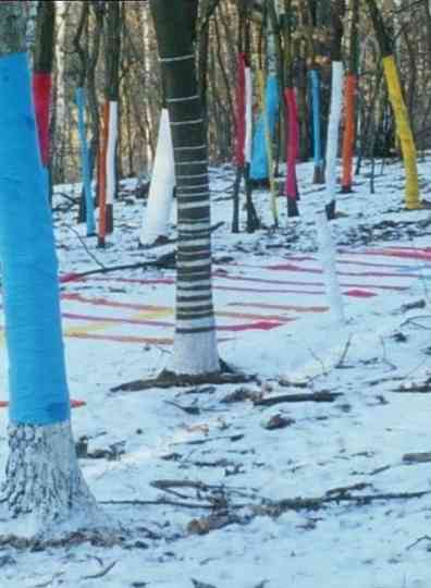 Toying with Strings 2 Poster