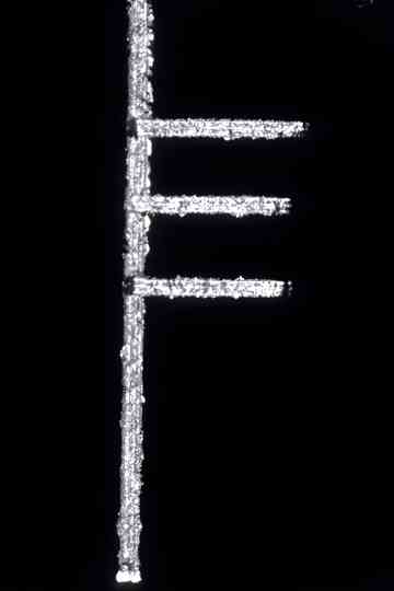 Fragrant Portals, Bright Particulars and the Edge of Space Poster