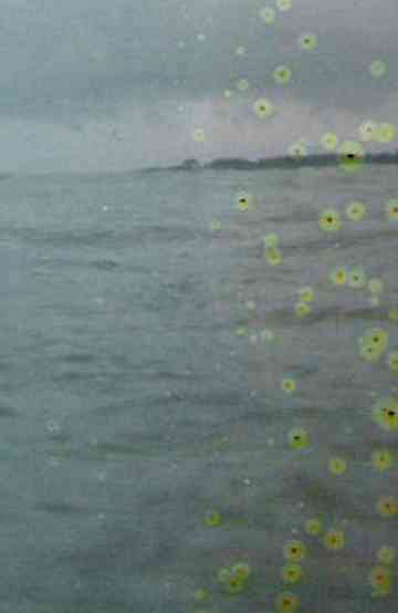 Film for Invisible Ink case no. 71: Base-Plus-Fog Poster