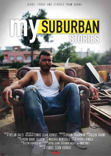 My Suburban Stories poster
