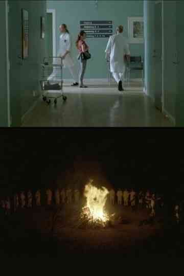 The Rite Of Spring Poster