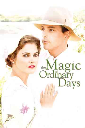 The Magic of Ordinary Days poster