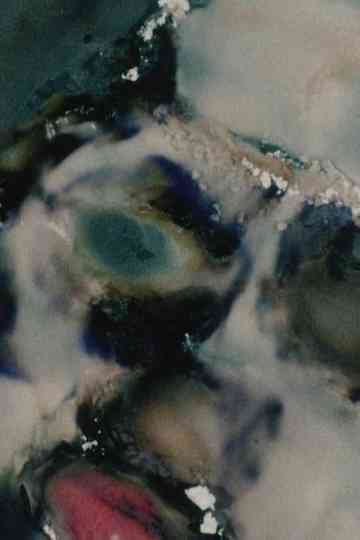 Natural Features Poster