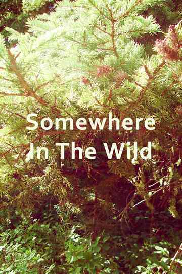 Somewhere in the Wild Poster
