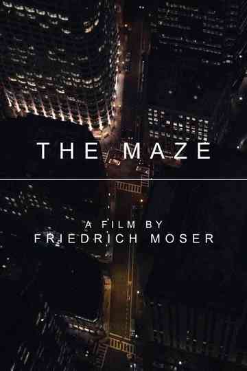 The Maze Poster