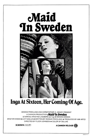 Maid in Sweden Poster