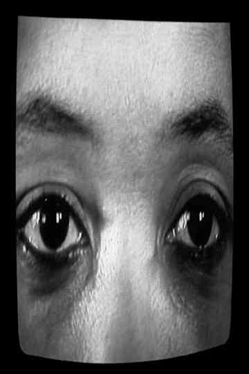 Creating a Different Image: Portrait of Alile Sharon Larkin Poster