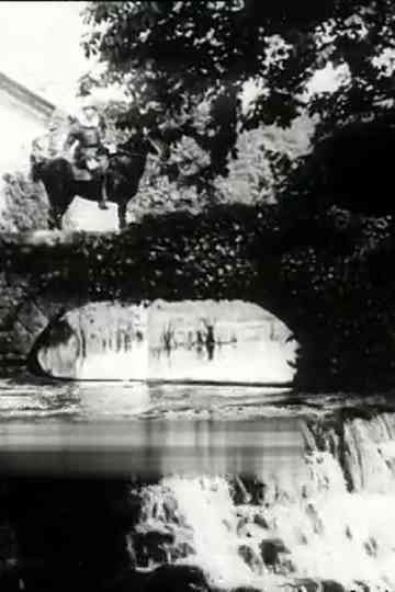 The Béarnaise Girl Poster