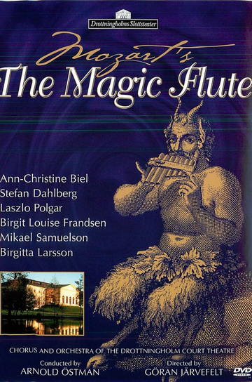 Mozart The Magic Flute Poster