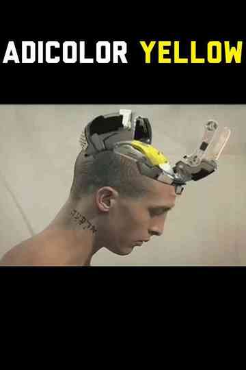 Adicolor Yellow Poster