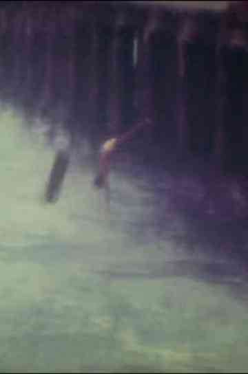 Supermemórias Poster