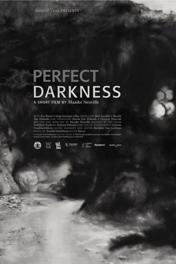 Perfect Darkness Poster