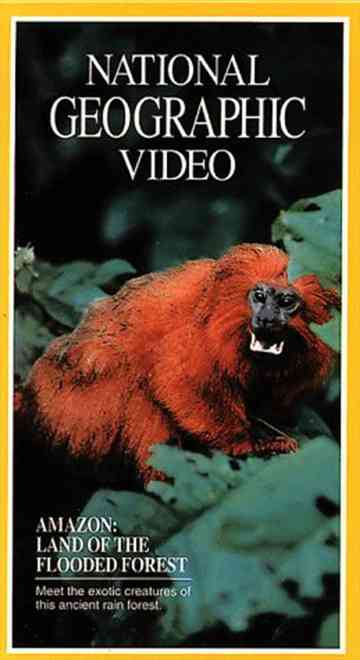 Amazon Land of the Flooded Forest Poster