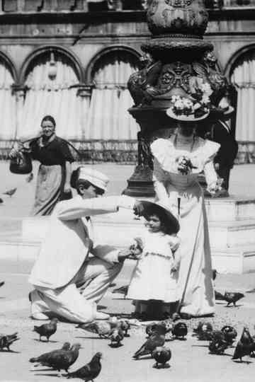 Venice Feeding the Pigeons in St Marks Square Poster