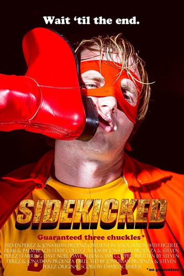 SideKicked Poster