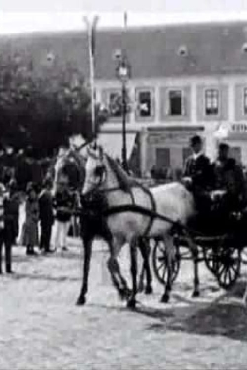 The Unveiling of the Monument to Ferenz Rakoczy Poster