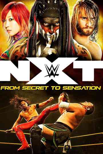 NXT From Secret To Sensation Poster