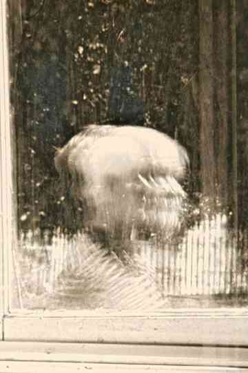 Saint Bathans Repetitions Poster