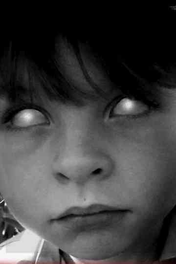 The Cornfield Poster