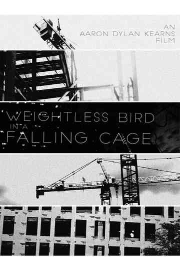 Weightless Bird In A Falling Cage Poster