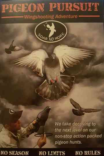 Pigeon Pursuit Poster