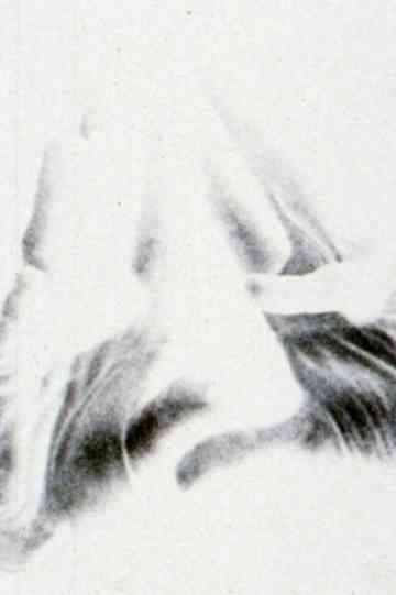 Pitchfork and the Devil Poster