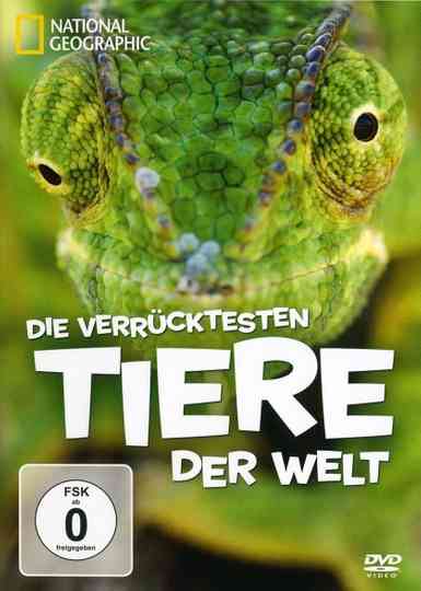 National Geographic  Die verrücktesten Tiere der Welt poster
