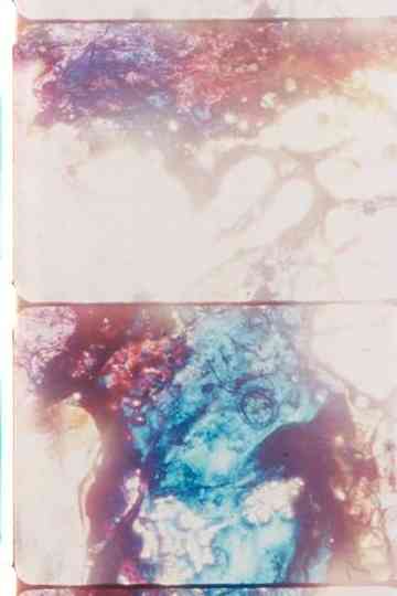 Cloud Chamber Poster