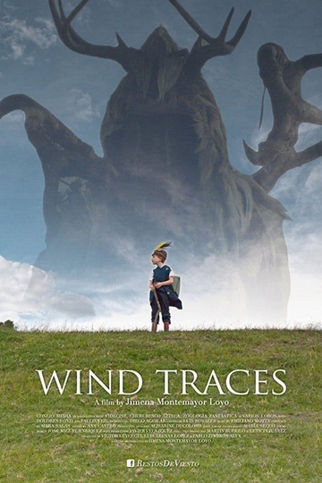 Wind Traces Poster