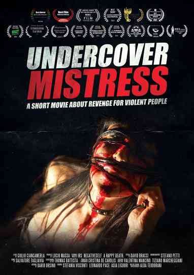 Undercover Mistress Poster
