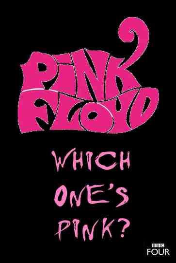 The Pink Floyd Story Which Ones Pink Poster