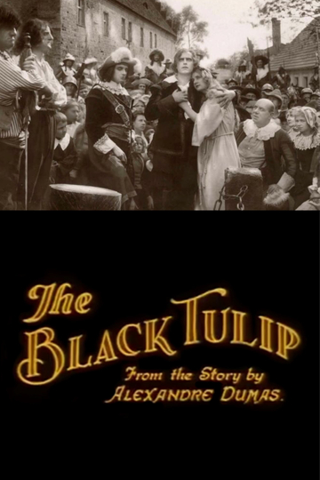 The Black Tulip