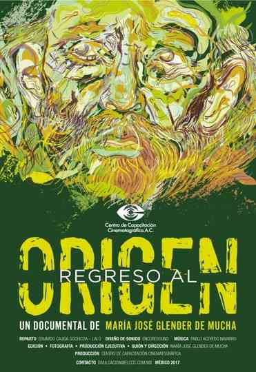 Back to the Origin Poster